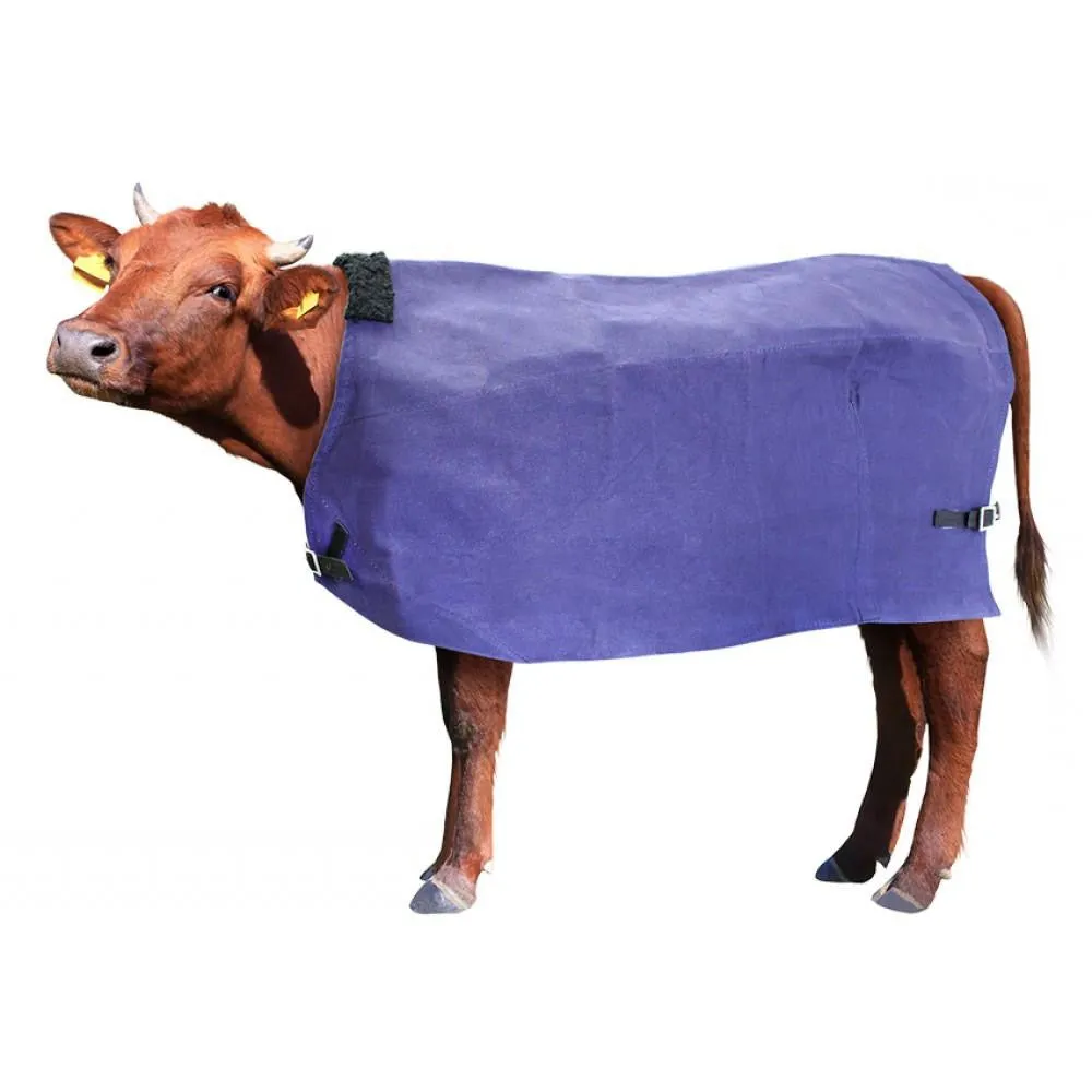 Canvas Cow Cover | Wool Lined